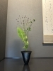 「今日は…」