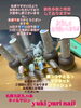 ご新規様つやとろマグ20%オフ🤩4000円✨「推❤︎つやとろマグネットネイル【札幌北区北24条ネイルサロン　yuki puri nail】」