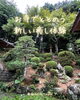 「✨心ととのう新しい体験✨」