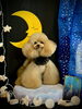 れん太くん「お月さまとわんこ🌛」