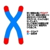 運動で改善が見込まれるテロメアの短縮。「老化の指標となるテロメアって何？その対策」