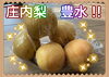 「【個別指導Growing Up大在校】小さな秋(梨)見つけました‼」