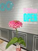 「11時OPEN👓✨」