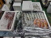 「📣本日入荷のお魚情報🐟」