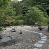 「庭園の流木、自然の癒しと静けさ【福島市桜本／信夫温泉】」