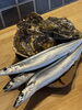 「今シーズン最後の天草産岩牡蠣と特大秋刀魚！」