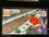 テレ朝『タモリステーション』無事にオンエア📺