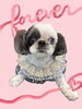「Dog salon mofu mofu　余市町」