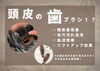 簡単に頭皮ケアできる！「シャンプーブラシ　　大口町／江南市／犬山／扶桑」