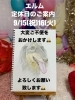 「定休日のお知らせ」