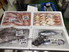 「📣本日のお魚情報🐟」