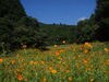 「9月14日【長嶋の今日の一言～日々是好日～】№1079」