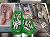 「📣本日のお魚情報🐟」
