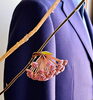 開花間近のホヤカルノーサ（桜ラン）「🌸 日本製 プレミアム 秋冬スーツ生地 お買い得フェアー」