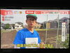 9月中旬なのに30℃超え連日…。「☆カラフル野菜の小山農園『羽鳥慎一モーニングショー』オンエア📺」