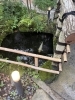 夢巡追荘「先日」