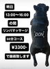 「明日限定！13:00～16:00 リンパマッサージ60分コース3,300円でご案内」