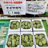 「本日9/18『市場の日』イベント開催中！」