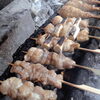 備長炭で焼き上げる焼き鳥各種「やきとり」