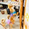 「今日のお友達」