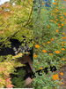 「秋ですね🍂」