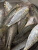 「【魚も酒も自ら厳選する瑞江の小料理屋】」