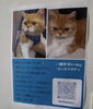 「猫好き・動物好きさん大歓迎！夢らくで動物の話をしませんか？」