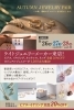 AUTUMN JEWELRY FAIR「【ジュエリー】 AUTUMN JEWELRY FAIR | 3日間限定！秋の新作ジュエリーが1,200点大集合」