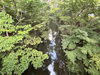 「多摩川上水の風景・福生十景のひとつをご紹介🚶」