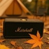 Marshall ｴﾝﾊﾞｰﾄﾝ3「観音寺の秋を彩る音と景色──Marshallスピーカーを連れて」