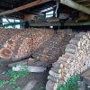 乾燥済み薪の販売中！針葉樹・広葉樹を取り揃えています