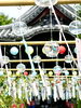 「本日の境内の様子です」