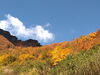 中荒沢の「万年雪」展望台から見た荒沢岳の紅葉「今日は二十四節気の「秋分の日」になります」