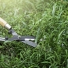 🌿激安草刈り・伐採・剪定 キレイ新居浜店🌿 ✨お庭・空き地のお悩み解決！地域最安級✨