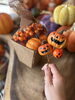 ピックとベリー「秋色のミニカボチャ雑貨が入荷！手のひらで楽しむハロウィーンディスプレイ」