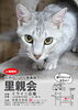 出逢いがココに‼️「✨応援投稿✨猫さんの里親会」
