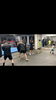 「活気あふれるジム風景！幅広い世代が楽しむLiberal Box Gymのトレーニング」
