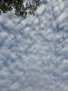 「秋の空」