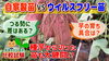 「品質と収量性に差が出るのか？　サツマイモ・ウイルスフリー苗の秘められた能力を紹介します。　たねのハシモトミヤ」