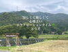 「自然の中でハーブティー🌿🫖𓂃 𓈒𓏸」