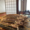 北海道産シャコ入荷—握り・あてで旬の味を満喫