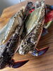 北海道産　渡り蟹「本日の厳選食材　(白木原イタリアン)」