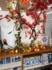 店内ディスプレイ「🍂秋の店内ディスプレイと「読書の秋」企画🍂」
