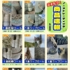 【9/22更新】道東牧草情報！