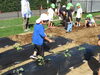 美味しい野菜に育ってね🌞「🌱幼稚園の畑🌞」