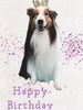 「Dog salon mofu mofu　余市町」