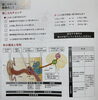 聞こえのこと　難聴のこと「「聞こえ」の自己チェックと難聴の基礎知識」