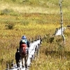 「気軽に楽しめて、充実感溢れる入笠山トレッキング」