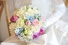 「稚内まちかどのはなやれんげどうです！秋の花、入荷しました！季節の彩りを店頭にて販売中！」
