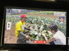 今年は良くNHKより取材を依頼を頂きます。「☆カラフル野菜の小山農園、NHK『1.5℃の約束』無事にオンエア📺☆」